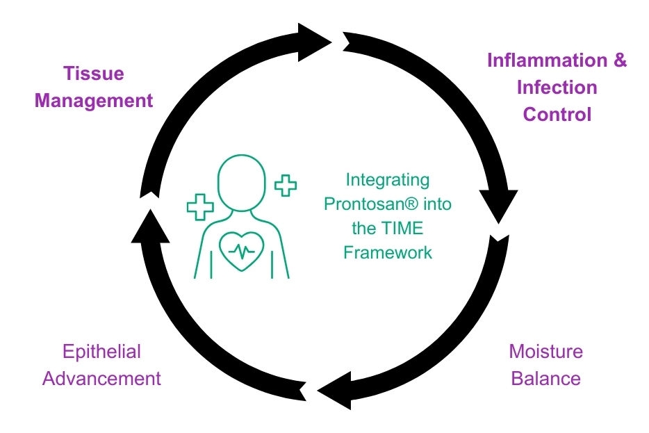 Infection and Microbial Presence - 2
